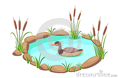 Pond with reeds and duck. Lake in cartoon style. Pond with grass and stones Vector Illustration