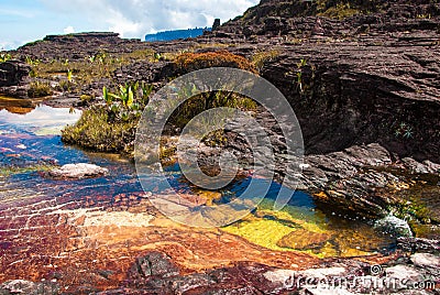 Pond on Roraima Tepui Summit, Gran Sabana, Venezuela Stock Photo