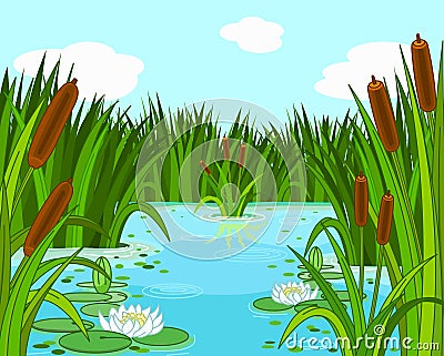 Pond scene Vector Illustration