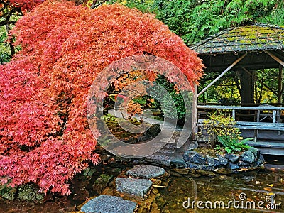 Pond with stone steps in a colorful autumn park Stock Photo