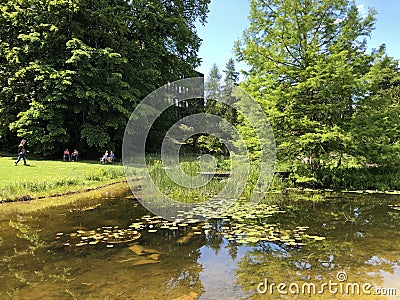 Pond or Teich - Botanical Garden of the University of Zurich or Botanischer Garten der Universitaet Zuerich Editorial Stock Photo