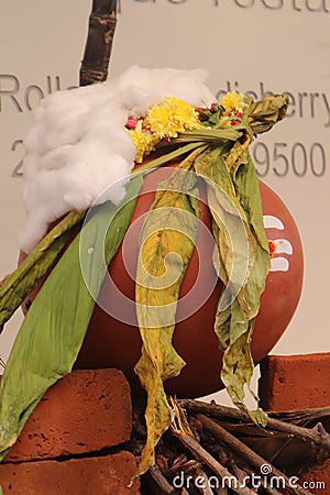 Pongal festival celebration in Pondicherry - harvest festival of South India - India tourism Stock Photo