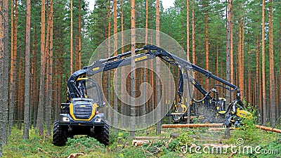 Ponsse Harvester Scorpion at Work Editorial Stock Photo