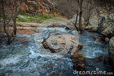 Ponsul river flowing through huge stones during the daytime Stock Photo