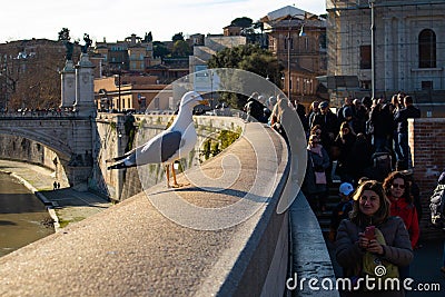 Ponte Vittorio Emanuele II Bridge, Rome, Italy Editorial Stock Photo