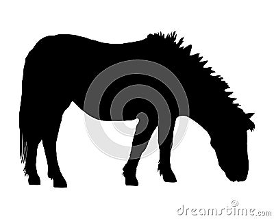 Pony grazing Vector Illustration