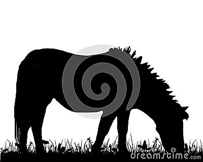 Pony grazing Vector Illustration