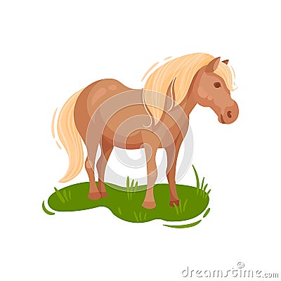 Pony grazing in the meadow. Vector illustration. Vector Illustration