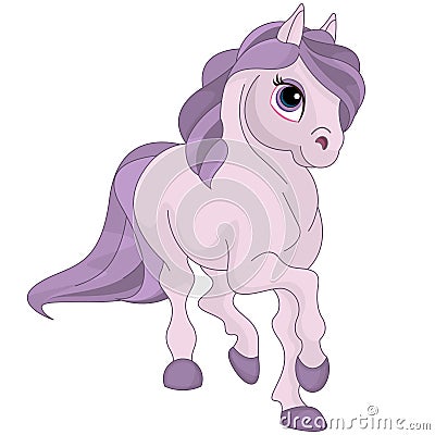 Pony Vector Illustration