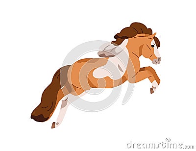 Pony, small little horse breed. Spotted stallion foal running, jumping. Trained equine animal in fast motion, action Vector Illustration