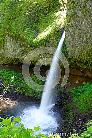 Columbia River Gorge, Oregon, Ponytail Falls, or Upper Horsetail Falls, Pacific Northwest, USA Stock Photo