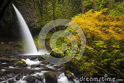 Ponytail falls, autumn, Columbia Gorge, Oregon Stock Photo