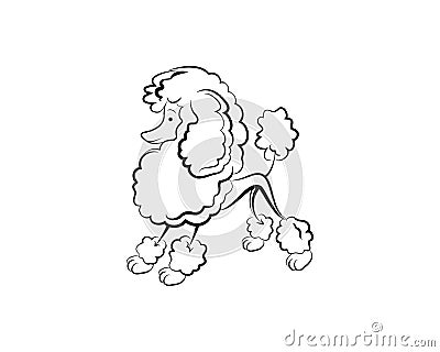 Poodle cute dog vector illustration Vector Illustration