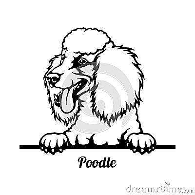 Poodle Peeking Dog - head isolated on white Vector Illustration