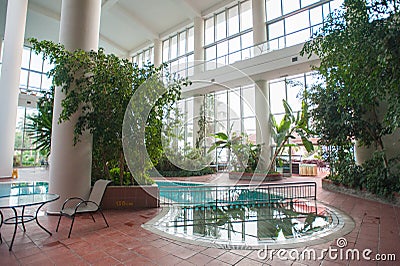 Pool inside the building, surrounded by plants Stock Photo