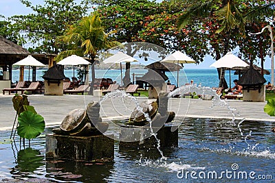 Pool with lilies and palm trees around it. Seascape of Indonesia. Editorial Stock Photo