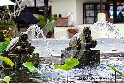 Pool with lilies and palm trees around it. Seascape of Indonesia. Editorial Stock Photo