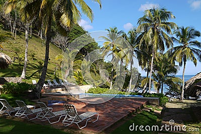 Pool surrounded by Coconut Trees and Beach Stock Photo