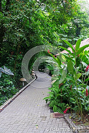 Tabacon Hot Springs, Costa Rica Stock Photo