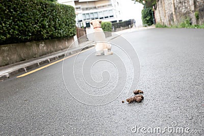 Poop but in the street Stock Photo