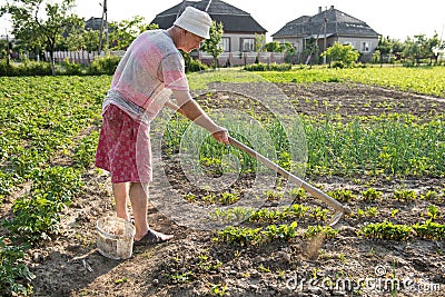 Poor farmer hoeing vegetable garden Stock Photo