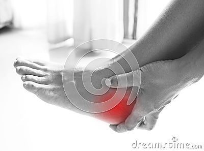 Foot pain, heel pain from tendon inflammation And overweight Stock Photo