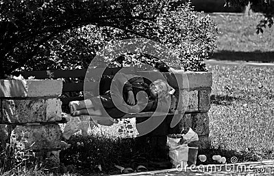 Poor homeless man sleeping on the wooden bench in the park. Editorial Stock Photo