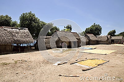 Poor hut seaweed growers, Nusa Penida, Indonesia Stock Photo