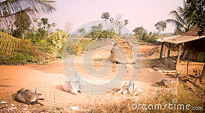 Poor Indian household in province Andhra Pradesh 2 Stock Photo