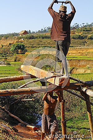 Poor malagasy men cutting timber Editorial Stock Photo