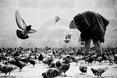 Poor man in Paris feeding pigeons Editorial Stock Photo