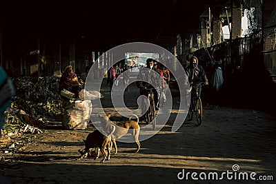 Poor neighborhood in Kolkata with people cycling in the street and stray dogs playing Editorial Stock Photo