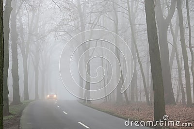 Poor visibility from fog in winter morning: View on german country road through forest with bare trees and headlights of car Stock Photo