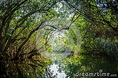 Poovar Island, Kerala, India Stock Photo