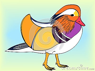 Pop Art. Raster of imitation retro comic style. The bird, Mandarin duck, goose. Cartoon Illustration