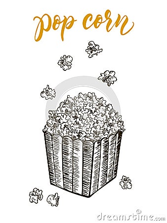 Pop corn sketch vector illustration. Fast food delicious corn icon for restaurant menu, apparel design and prints. Vector Illustration