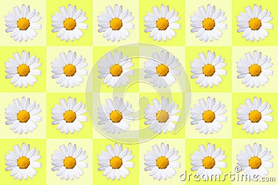 popart with twenty-four daisy blossoms on yellow colored background Stock Photo