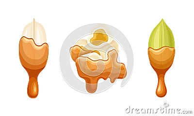 Popcorn and Pistachio with Dripping Chocolate or Caramel Melting Liquid Vector Set Vector Illustration