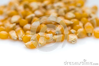 Popcorn Seeds, Studio Close Up Shot, on White Background Stock Photo