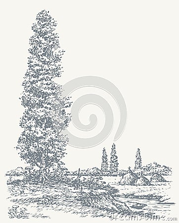 Poplar on a hill above the river. Vector drawing Vector Illustration