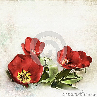 Poppies background Cartoon Illustration