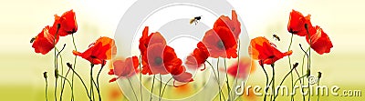 Poppies and bees Stock Photo