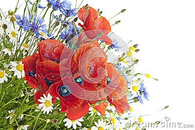 Poppies, daisies ,cornflowers Stock Photo