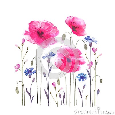Poppies Vector Illustration