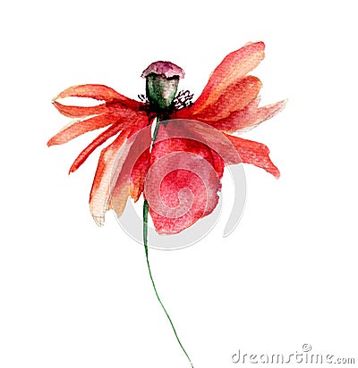 Poppies flowers with petal fall off Cartoon Illustration