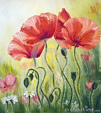 Poppies in the morning Stock Photo