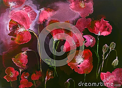 Poppies in red and black. Stock Photo