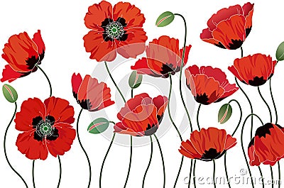 Poppies Stock Photo