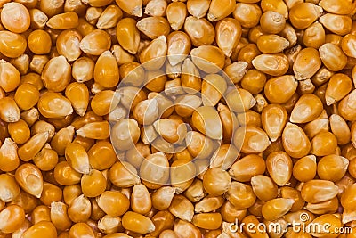 Popping Corn Stock Photo