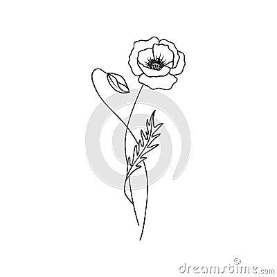 Poppy August Birth Month Flower Illustration Vector Illustration